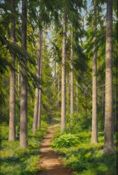 Sonniger Waldweg